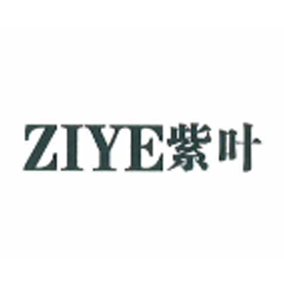 紫叶（ZIYE）